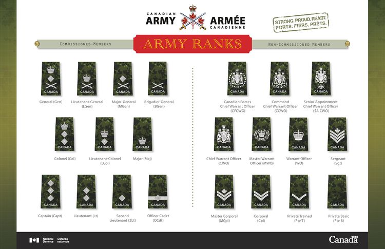 Canadian Army Ranks 08 Dec 2014.jpg