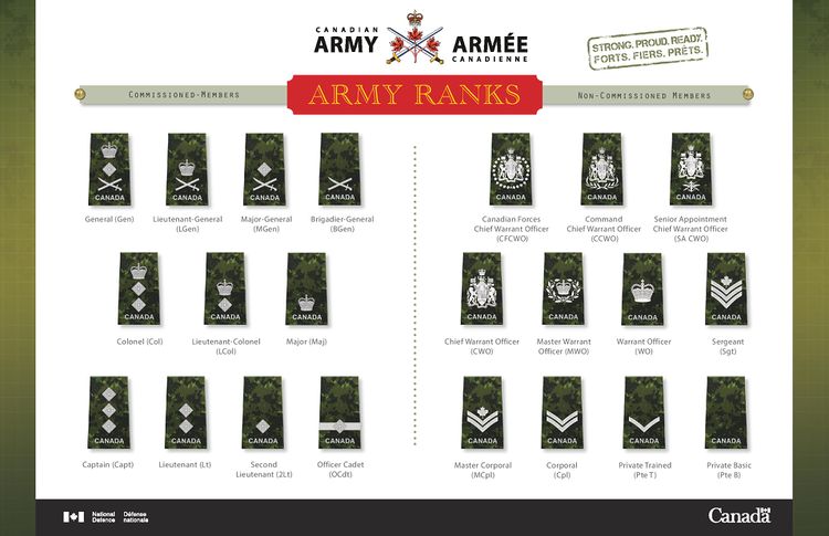 The Queen s Own Cameron Highlanders Of Canada