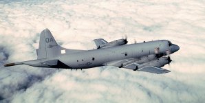 P3 Orion.jpg