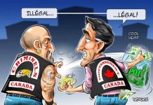 legal.jpg