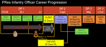 PRes Infantry Officer Career Progression.PNG