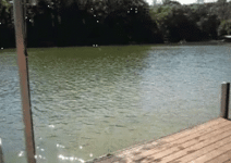 1649454489764.gif