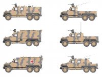 Eagle_6x6_light_tactical_wheeled_armoured_vehicle_General_Dynamics_Land_Systems_variants_detai...jpg