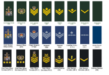hh-ranks-non-commissioned-members-3.png