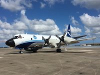 NOAA Lockheed WP-3D Orion N42RF on 18 October 2016 following a major overhaul and upgrades_NOA...jpg