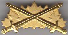 warrior_badge_gold.jpg