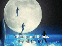 so-long-and-thanks-for-all-the-fish-gif-6.gif
