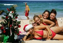 Xmas Beach Bunnies.jpeg