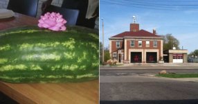 detroit-engine-55-firefighter-fired-watermelon-1024x538.jpg