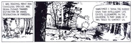 calvin and hobbes.jpg