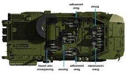 TAPV-inside crop flip.jpg