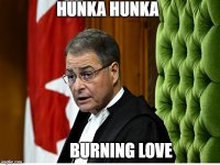 Hunka hunka burning love.jpg