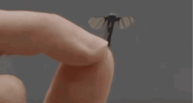 1752504590551.png