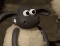 1753367980780.gif