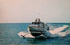 OIP (15).jpg