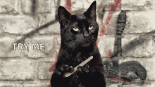 1757699706793.gif