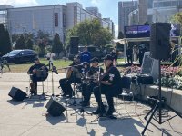 IMG_2331.jpeg