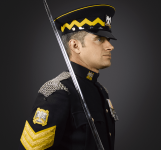 sergeant-royal-scots-dragoon-guards-v0-g95t4hykim691.png