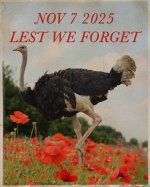 IMG_7891.jpeg IMG_7891.jpeg