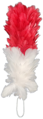 1765412776935.png 1765412776935.png