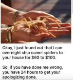 1778723066538.png