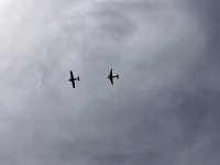 IMG_3299.jpeg