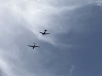 IMG_3300.jpeg