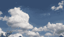 1780725175690.gif