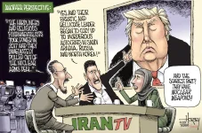 iranian perspectives.webp