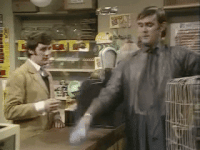 1000081975.gif