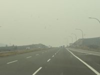 IMG_8270.jpeg