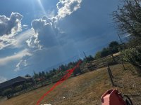 IMG_8721.jpeg