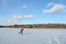 swansea_pond1.jpg