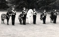 Pegasus I & Bruneval I Army Mascots (Att Airborne Assault Duxford).jpg