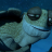 MasterOogway