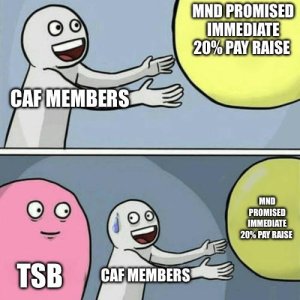 20 percent meme.jpeg