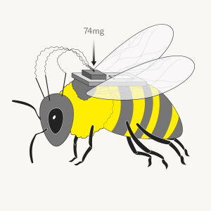 1752505316958.png