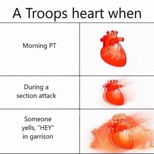 1777903979971.png