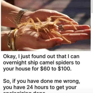 1778723066538.png