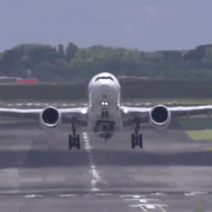 1781477645261.gif