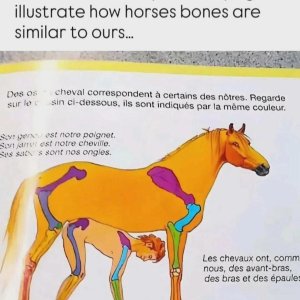 1000079917.jpg