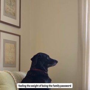 IMG_0489.jpeg