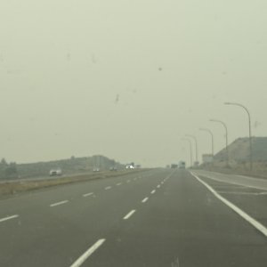 IMG_8270.jpeg