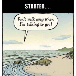 1790436755720.png