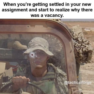 1793065906279.png