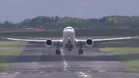1781477645261.gif