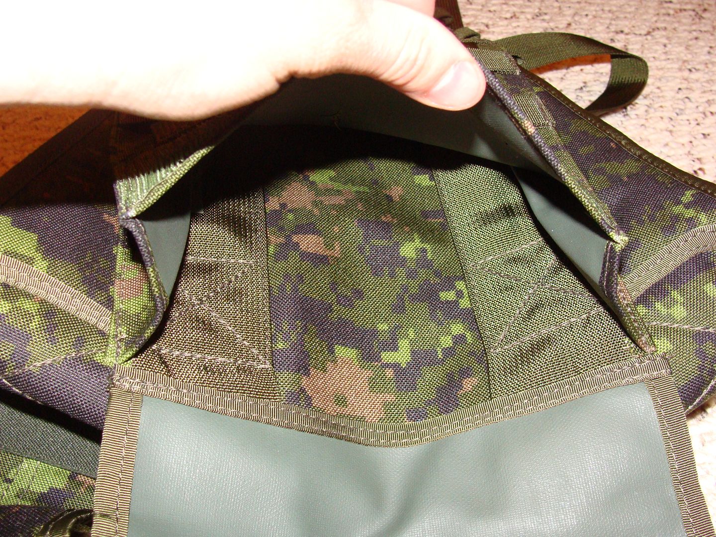 DSC01411.jpg