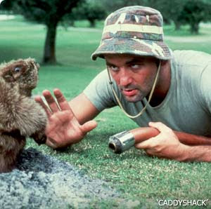 Bill_Murray_Caddyshack.jpg