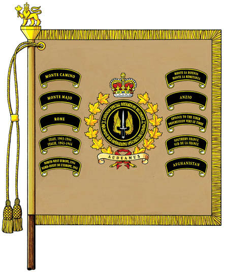 vi502_20070090_arms_CSORStandard.jpg