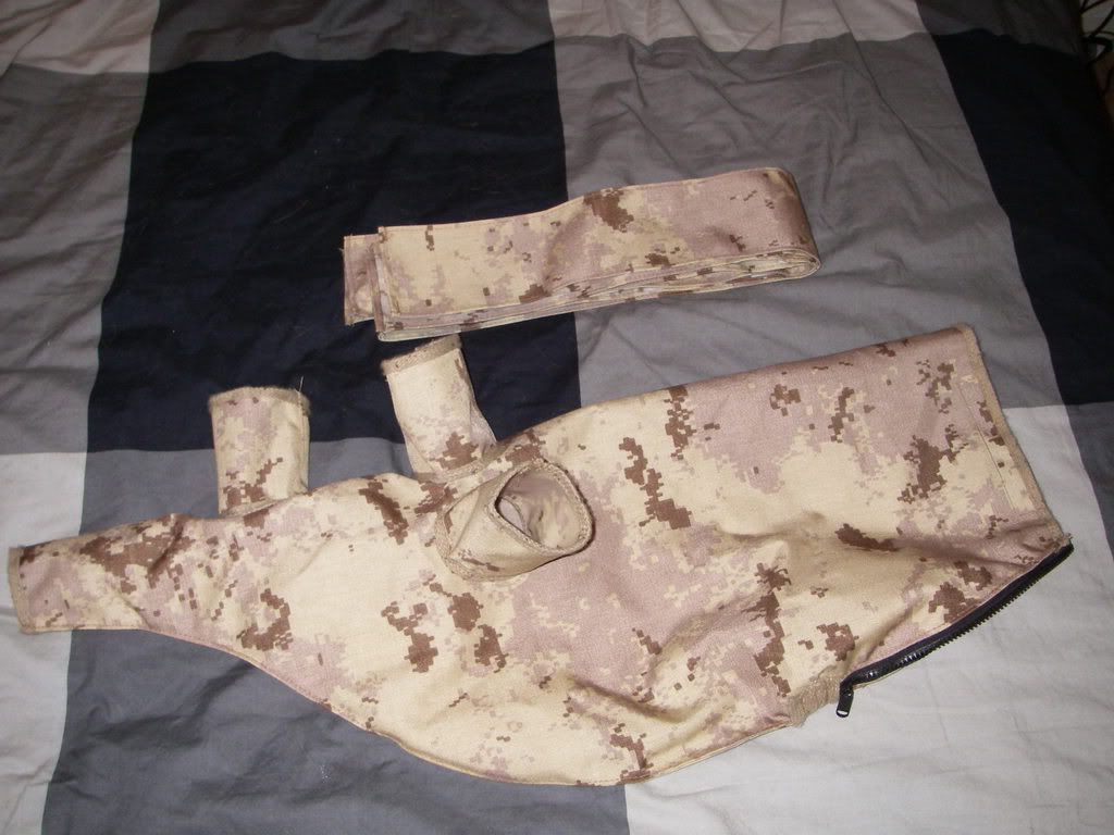 TanBagpipe06.jpg